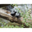 CP.MA.00000559.01 DJI Mavic 3 Classic (Drone Only)