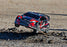 TRA74154-4RED Traxxas Fiesta ST Rally 1/10 Brushless AWD Rally Car RTR - RED **Sold Separately you will need tra2992 to run this truck**