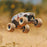 ARA2130FF Arrma 1/16 Freedom Flyer 4X4 RTR (B&C Incl) - White