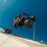 ARA3530T1 Arrma 1/10 GORGON 223S 2WD RTR Monster Truck - Blue/Black *YOU will need this to run this truck # SPMXC2050 and SPMX-1088