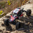 AXI-1207T2 1/8 AXP8 Gilamon 2.2 4X4 RTR Brushed Trail Buggy, Red ** Needed to Complete # SPMX-1033