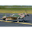 FMM075P FMS P-40B Flying Tiger PNP, 980mm