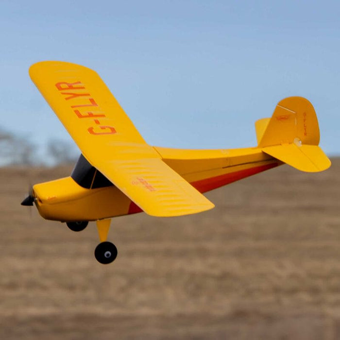 Remote Control Champ Rtf Plane HBZ04900 Champ Anniversary Special