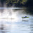 PRB-2072T1 Pro Boat 34" U-34, Miss Illinois, Hydro  ***YOU will need this part # SPMXC2010 and SPMX54S100H5 (x2)  to run this boat