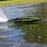 PRB-2171T1 Pro Boat Sonicwake 36" V3, Self-Righting V-Hull RTR - Black
