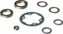 ARA311235 Center Diff Rebuild Kit