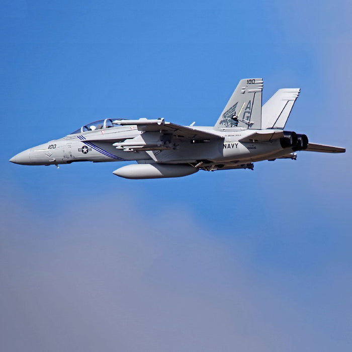 FMM100P FMS F-18F 70MM EDF V2 PNP