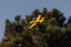 HBZ-1228 HobbyZone T-28 Trojan 450mm RTF with SAFE (FOR A EXTRA BATTERY PLEASE ORDER (FOR A EXTRA BATTERY PLEASE ORDER HBZ-1266)