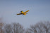 HBZ-1228 HobbyZone T-28 Trojan 450mm RTF with SAFE (FOR A EXTRA BATTERY PLEASE ORDER (FOR A EXTRA BATTERY PLEASE ORDER HBZ-1266)