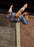 JAD35739 Jada 1/12 Street Fighter II Deluxe - T.Hawk