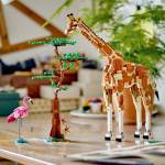 LEG31150 LEGO Creator Wild Safari Animals Set 780pcs