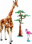 LEG31150 LEGO Creator Wild Safari Animals Set 780pcs