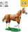 LEG31166 LEGO Creator 3in1 Beautiful Horse 685pcs