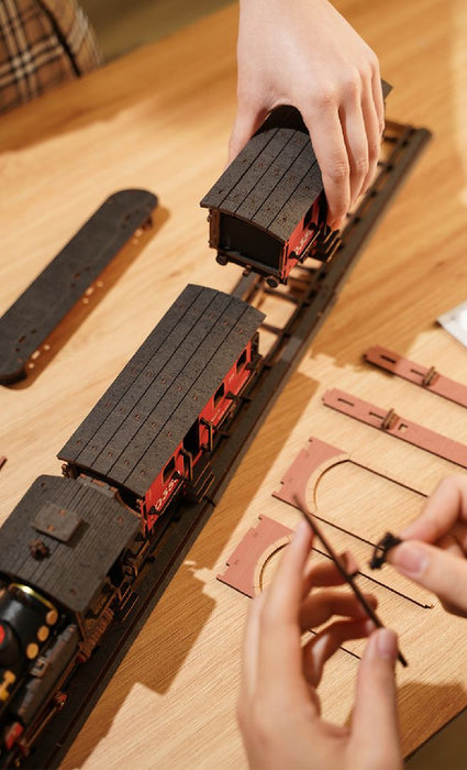 ROETGS01 Rolife Steam Journey 3D Wooden Puzzle