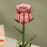 ROETW041 Rowood DIY Pink Rose 3D Wooden Puzzle