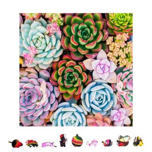 ZCPSS1000 Succulent Sensation Wooden Jigsaw Puzzle, 1000 pcs