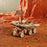 ROELS503 Space Hunting; Vagabond Rover (Opportunity Rover)
