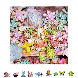 ZCPGS500 Garden Succulents Wooden Puzzle, 500 pcs