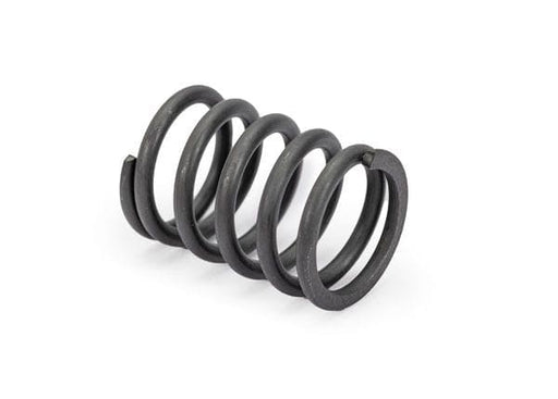 TRA10950 Traxxas Servo saver spring