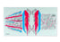 TRA12017-PINK Traxxas TXC-4M Body Decals - Pink