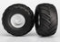 TRA3663 Tires & wheels, assembled, glued (satin chrome wheels, Terra Groove dual profile tires, foam inserts) (electric rear) (2)