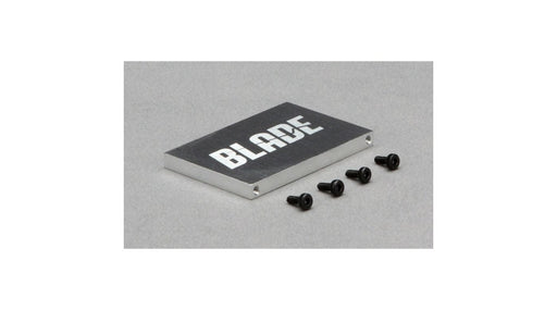 BLH4607 Battery Mount: 300 CFX
