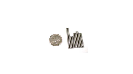 LNS3081 Titan Hinge Pin Kit (10): Mini-T / Mini Slider