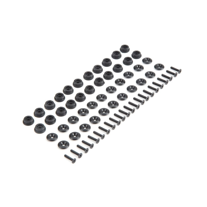 LOS230013 Body Button Base & Top (22): Baja Rey