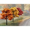 WOOTR1577 Value Trees, Fall Mix 3-5" (14)