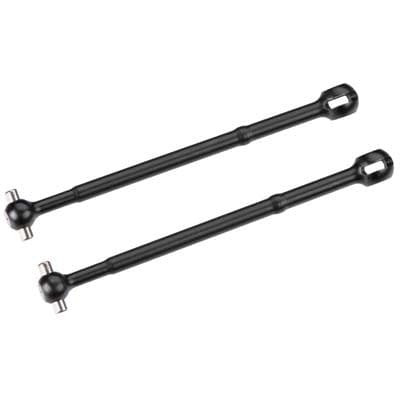 ASC91439 CVA Bone B5