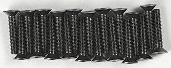 ASC25204 Flat Head Hex Screw M3x16mm (20)