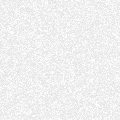 ONP2252 On Point 150ml RC Spray Paint - Silver Glitter